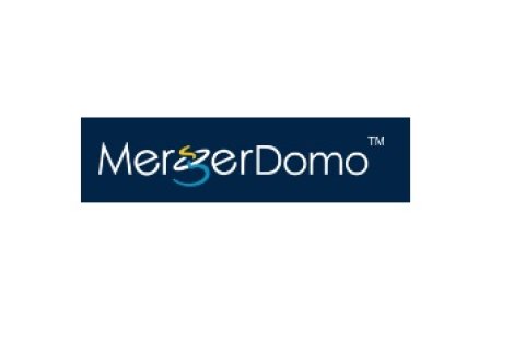 MergerDomo - Top Investment Banking Platform in India