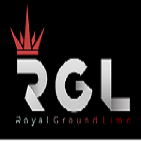 Royal Ground Limo LLC