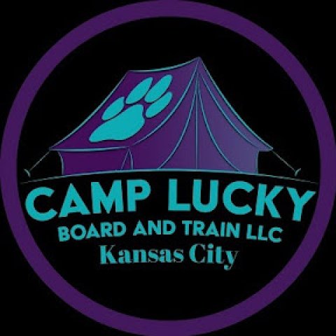 Camp Lucky Board and Train