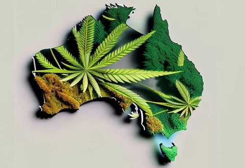 Weed Delivery In Australia