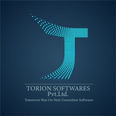 Torion software