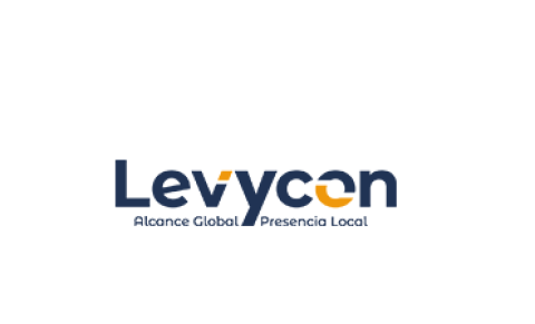 Levycon India Pvt. Ltd. - Best Digital Marketing Agency in Gurgaon