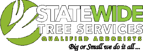 Statewide Tree Services - Tree Trimming services Sydney