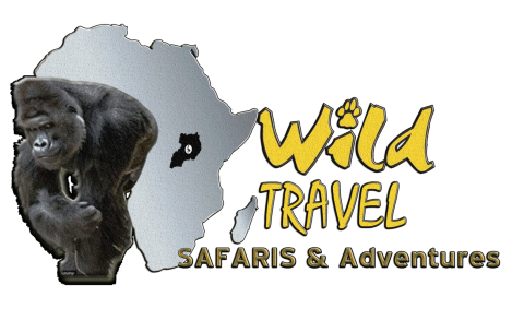 Wild Travel Safaris