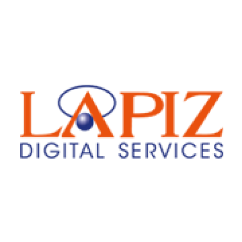Lapiz Digital Service | Healthcare Service