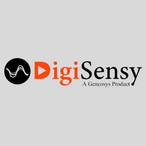 DigiSensy ~ Best Digital Marketing Agency in Lucknow