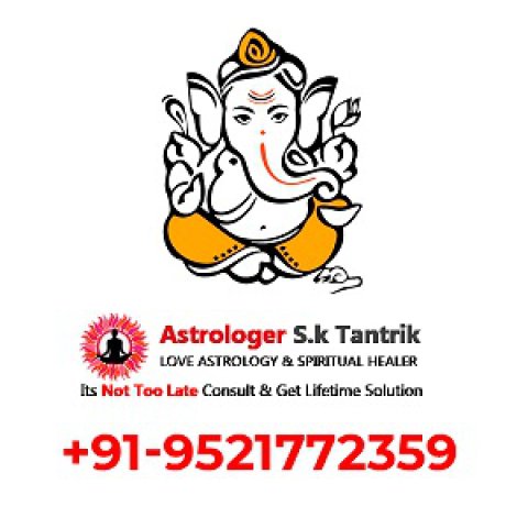 Who can Solve my love problem astrologer
