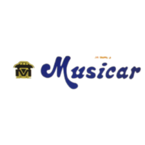 Musicar Gurgaon - Car Accessories