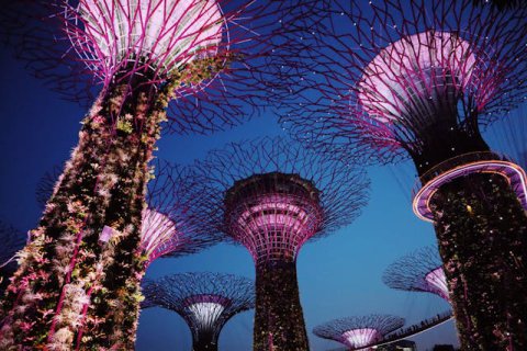 Singapore Tour Packages From Kerala