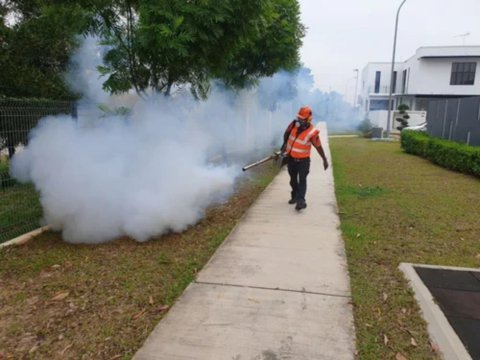 Bed Bug Control Singapore
