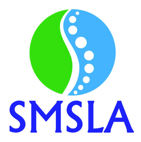 SMS LABS