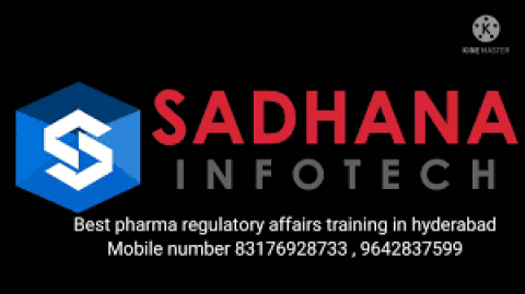 Sadhana Infotech