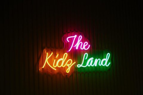 The Kidz Land