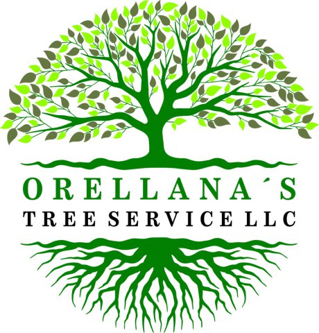Orellana Tree Service LLC