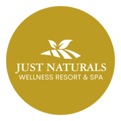 Just Naturals Wellness Resort Nainital