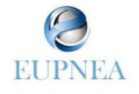 Eupnea Management Consulting