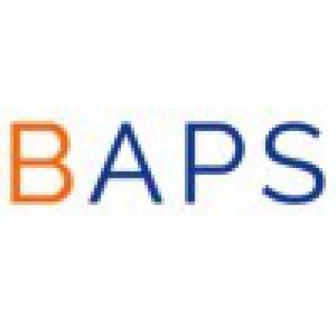 BAPS Consulting - SAP SF Consulting Services