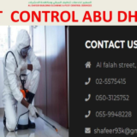 Top Pest Control Abu Dhabi | Best Pest Control In Abu Dhabi