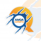 AMQA Experts - Manual & Automation Software Testing Company