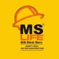 Ms Life Steel