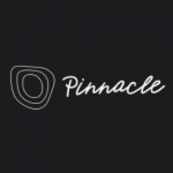 Pinnacle Autism Therapy, LLC.