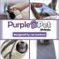 Purple Pet