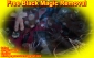 Free of Cost Black Magic Removal Service Specialist Astrologer