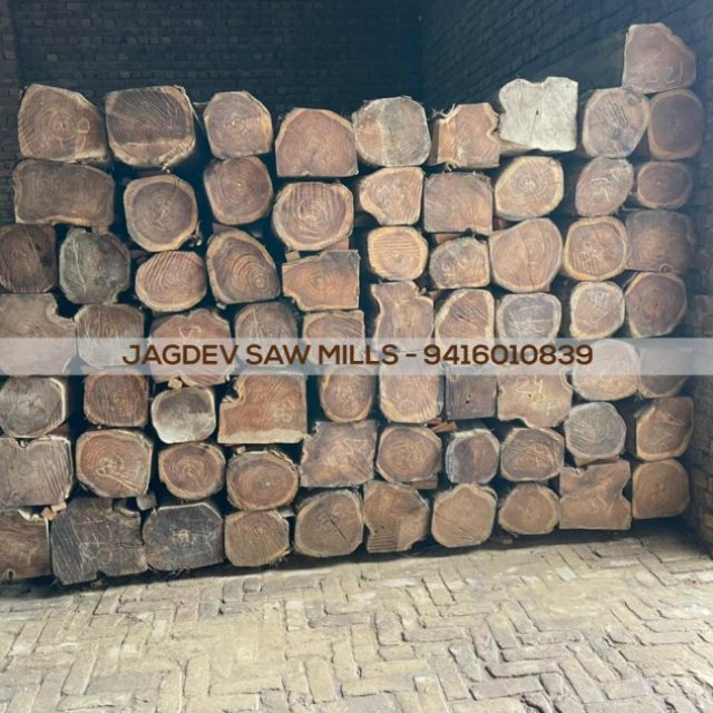 Jagdev Saw Mills, Sirsa - Burma, Sudan Teak | Sal, Meranti, Kapur, Sagwan Wood, Pine Wholesale Suppliers & Trading