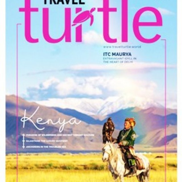 Travel Turtle