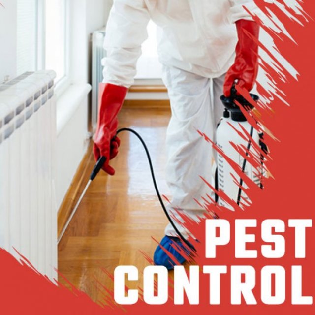 Pest Ban