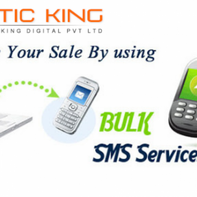 Bulk SMS Application Services in Delhi