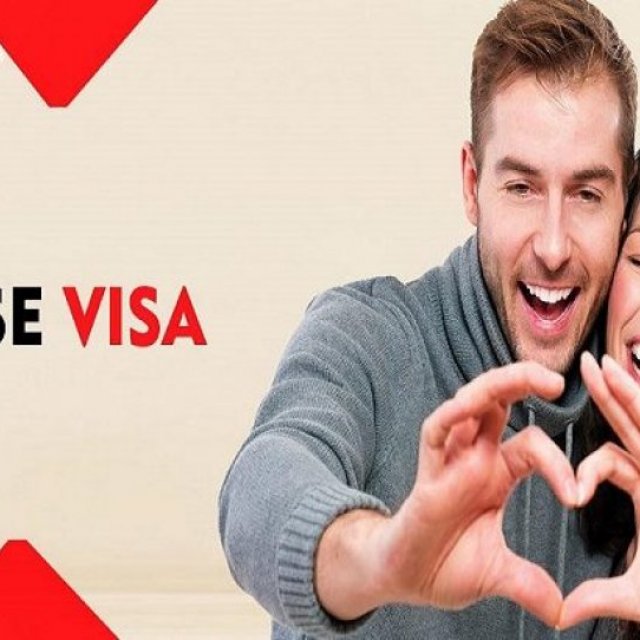 Visa Firms
