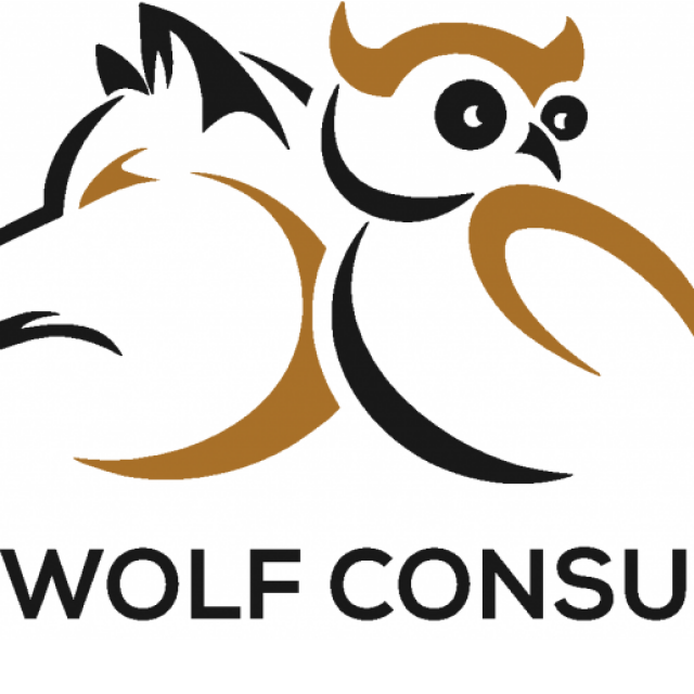 Wise Wolf Consulting LLC