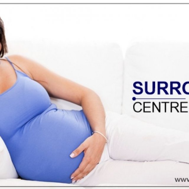 Surrogacy In India - Surrogacy Cost In India - Vinsfertility