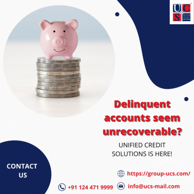 Unified credit Solutions Group