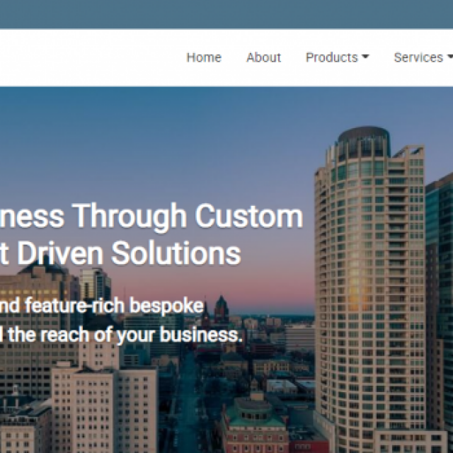 Custom Web Development Solutions