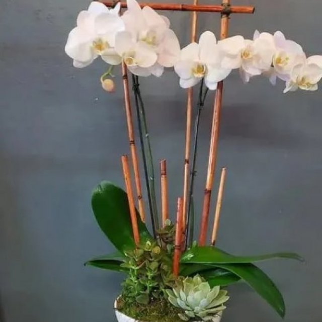 Arden Park Florist, Gift Shop & Flower Delivery