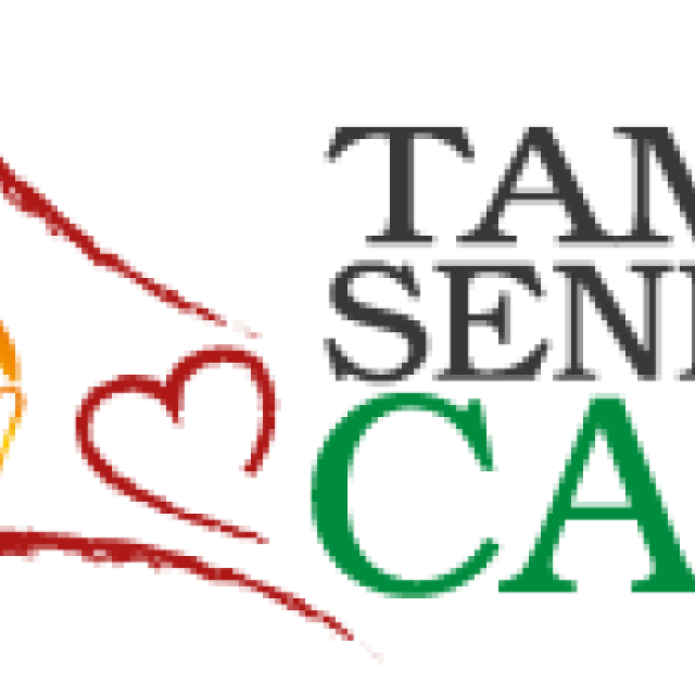 Tampa Seniors Care
