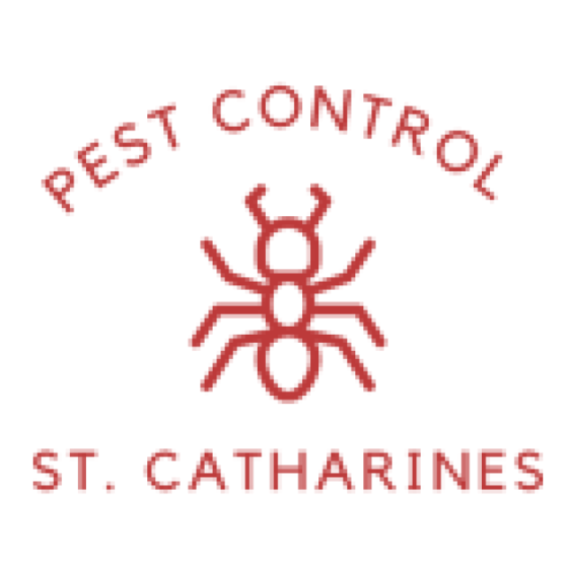Pest Control St Catharines