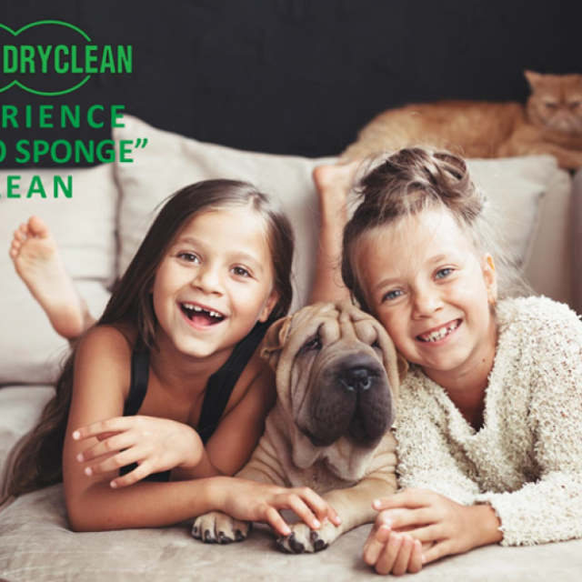 Carpet Dryclean Inc