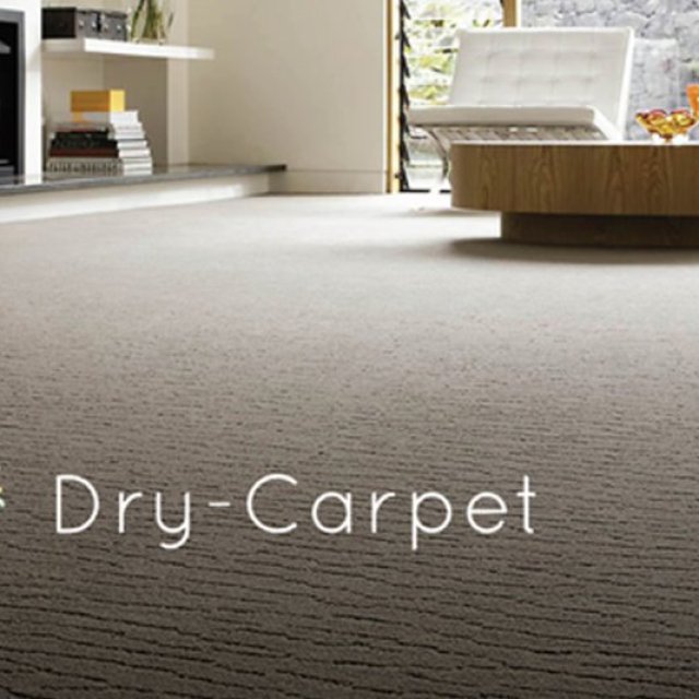 Dry Carpet