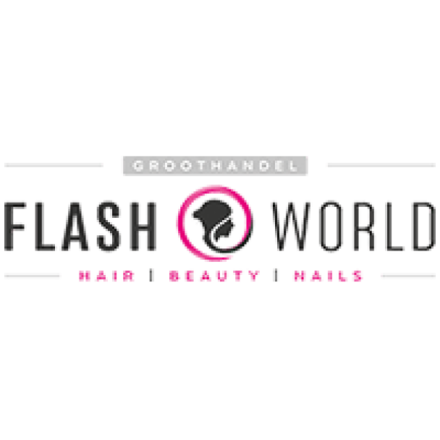 Flash World