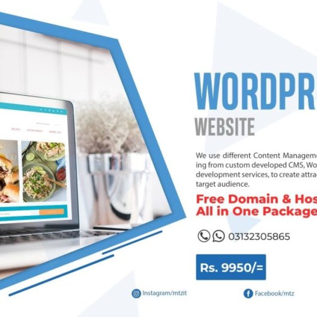 MTZ Provide Professionals & Creative Services We can develop your company's WordPress Website