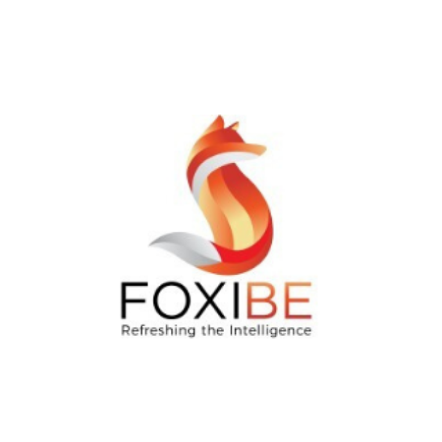 FOXIBE INNOVATIONS LLC