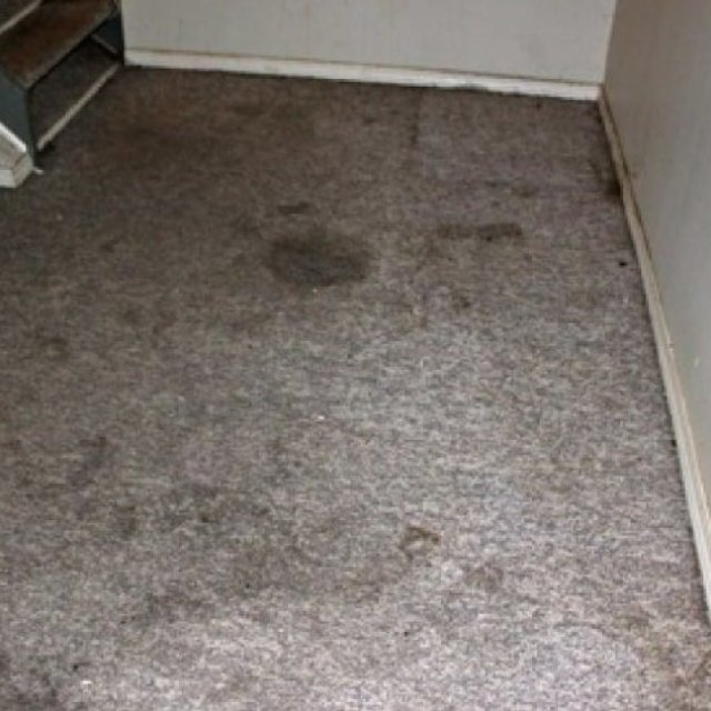 Flood Damage Restoration Melbourne
