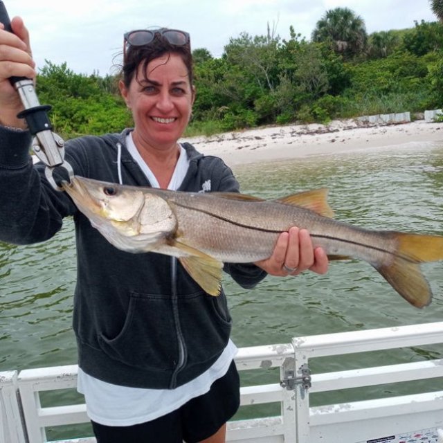 Experience Deep Sea Fishing In South Florida With Catch22 Fish