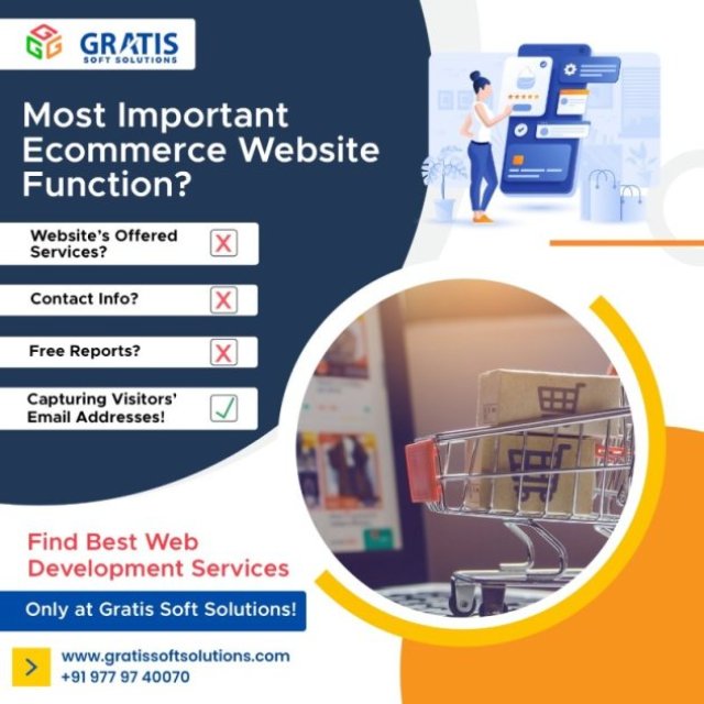 website development services in zirakpur