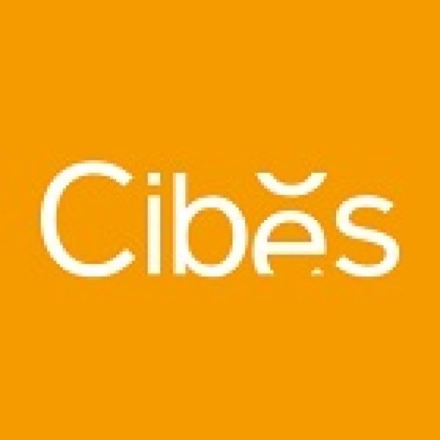 Cibes Lift India Private Limited