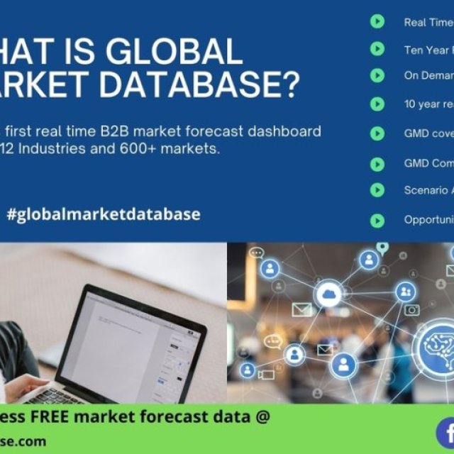 Global Market Database- Digital B2B Market Company