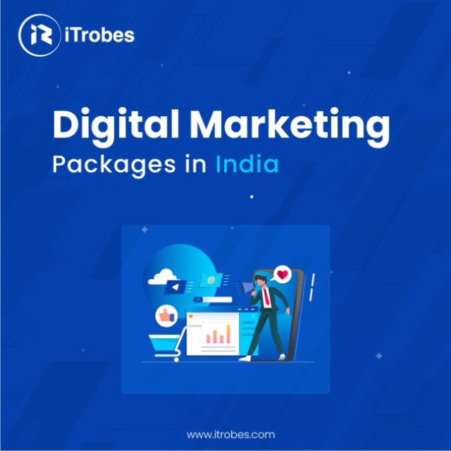 iTrobes Digital Marketing Packages India